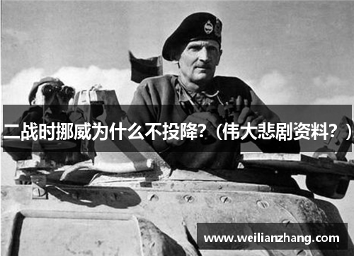 二战时挪威为什么不投降？(伟大悲剧资料？)