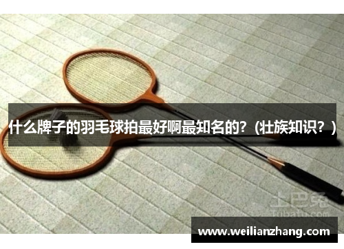 什么牌子的羽毛球拍最好啊最知名的？(壮族知识？)