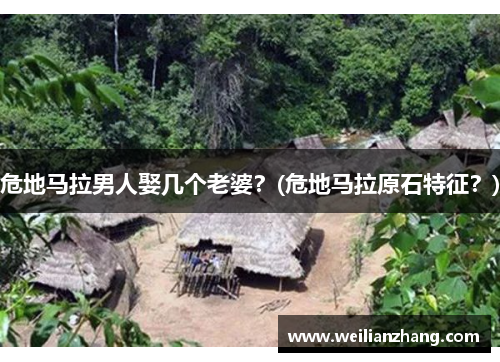 危地马拉男人娶几个老婆？(危地马拉原石特征？)